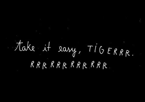 take it easy tiger